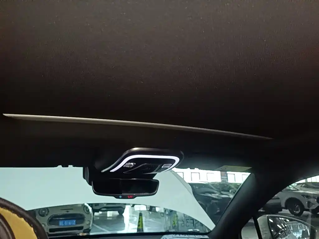 Denza X 2021 2020 Model PHEV Flagship Edition