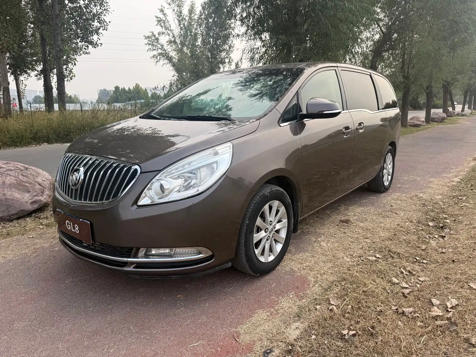 Фото 1 - Buick GL8