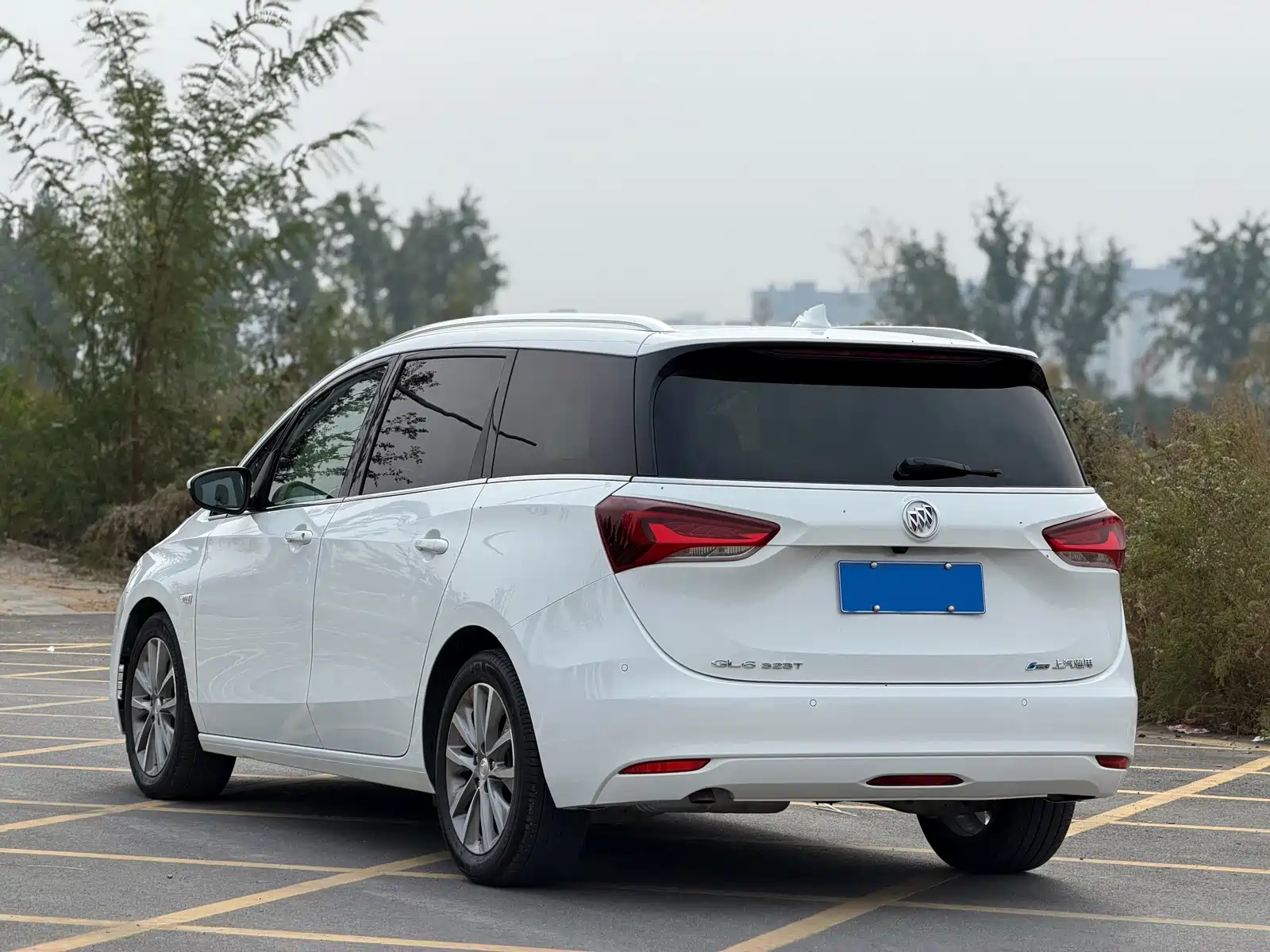 Фото 9 - Buick GL6