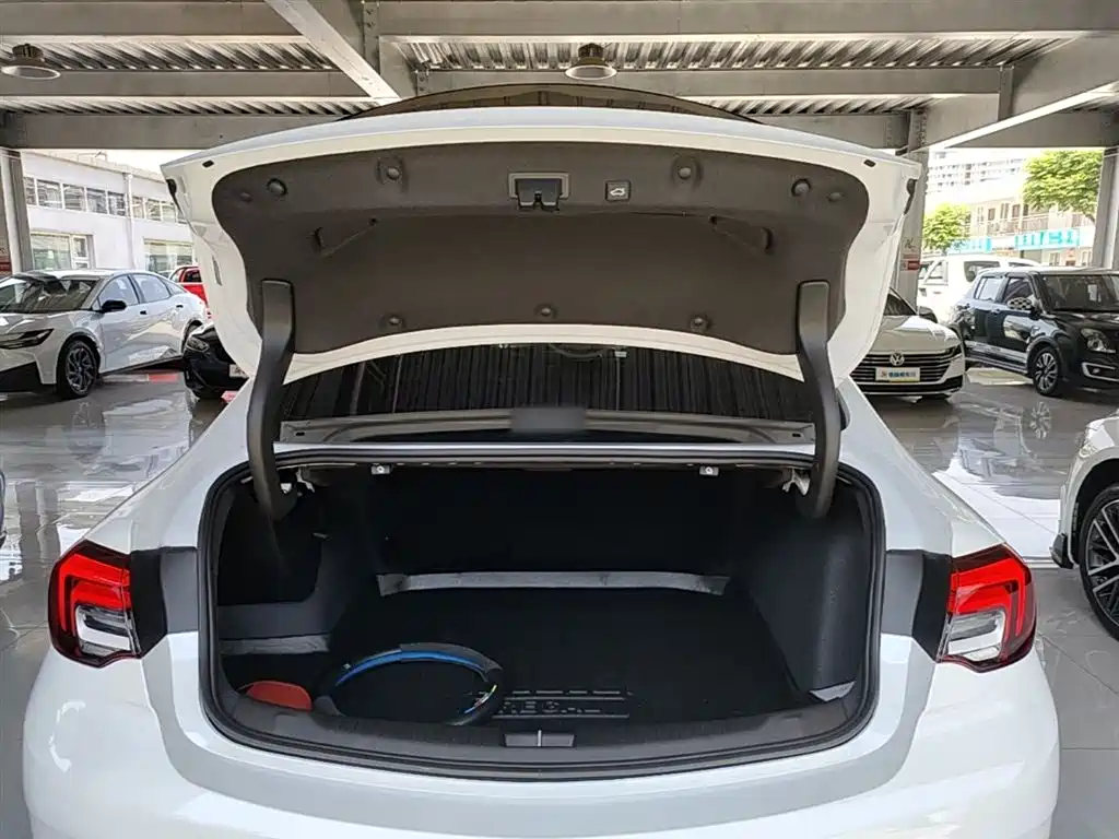 Buick Regal 2025 Model Base Type фото 19