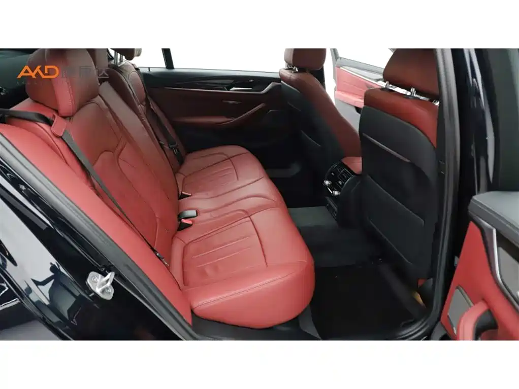 BMW 5 Series 2020 530Li Exclusive M Sport Package фото 8