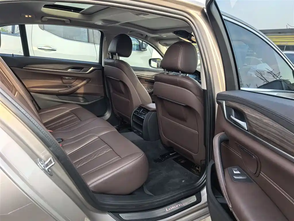 BMW 5 Series 2019 530Li Leading Luxury Package фото 14