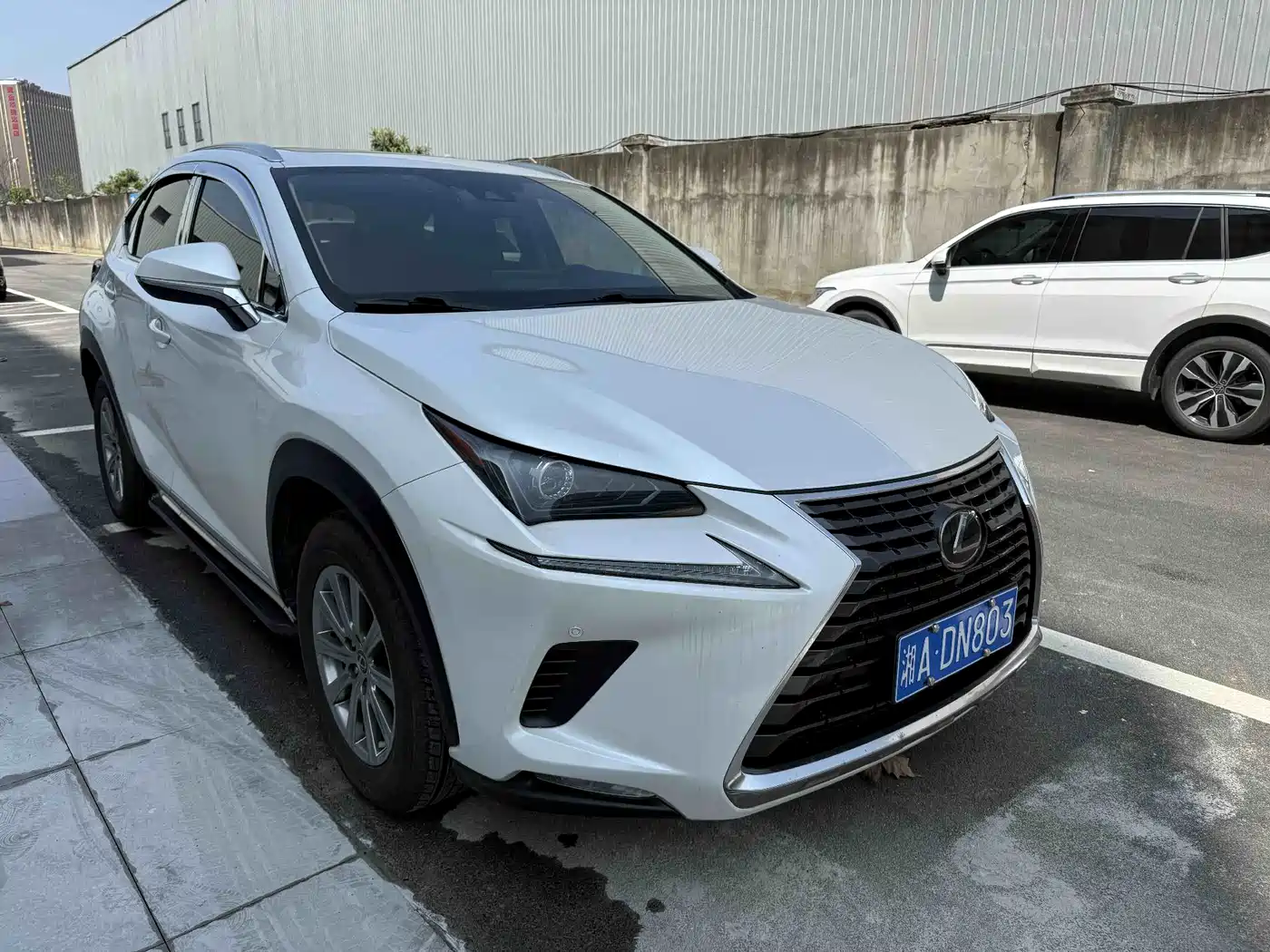 LEXUS NX