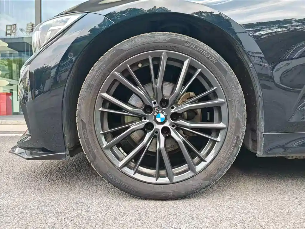 BMW 3 Series 2020 325Li M Sport Black Night Package фото 8