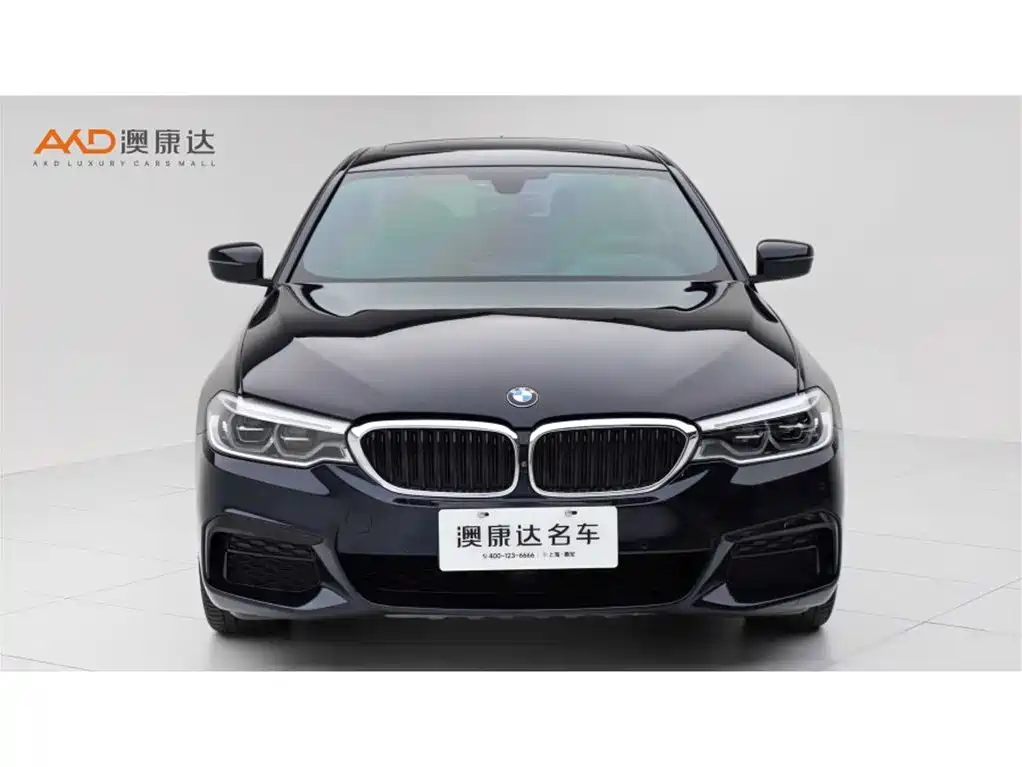 BMW 5 Series 2020 530Li Exclusive M Sport Package фото 2