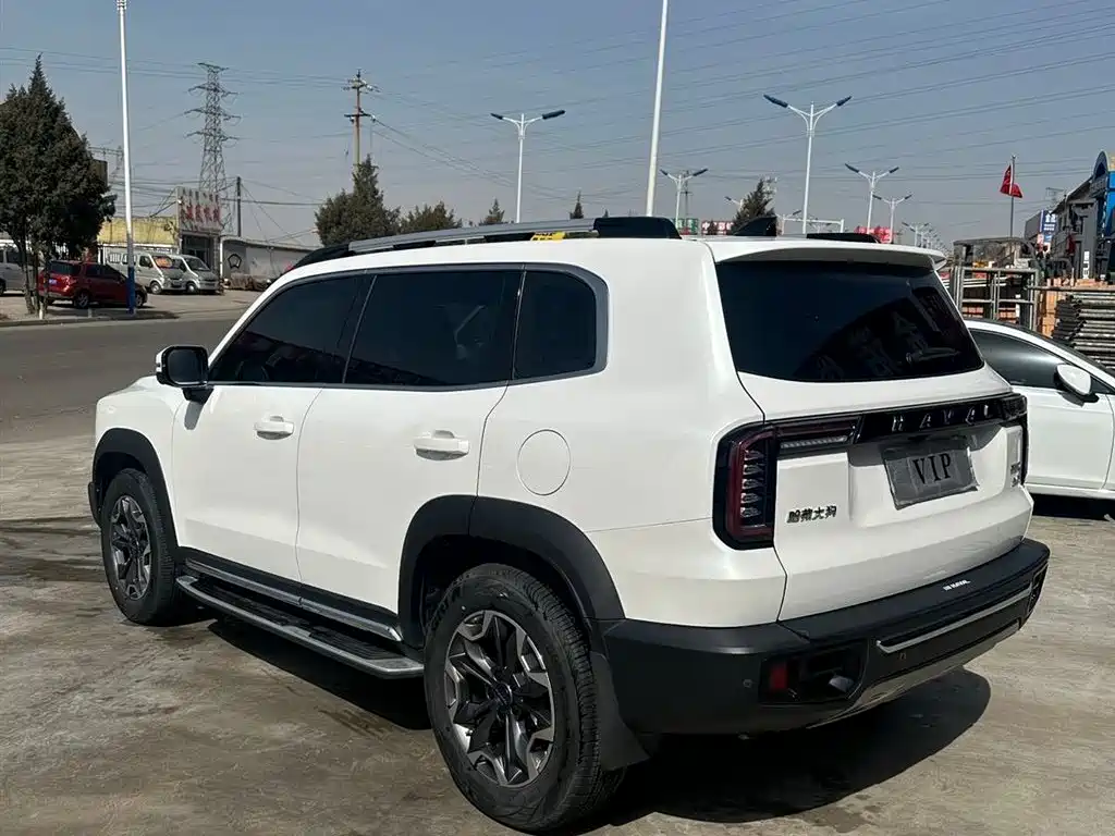 HAVAL BIG DOG