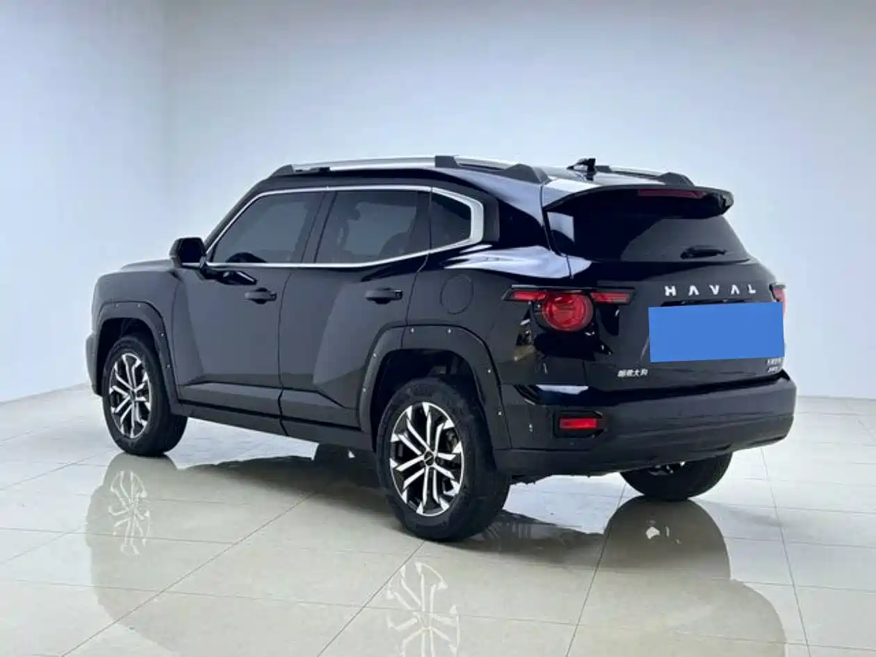 Haval Big Dog 2024 2.0T DCT Chinese Rural Dog Edition фото 5