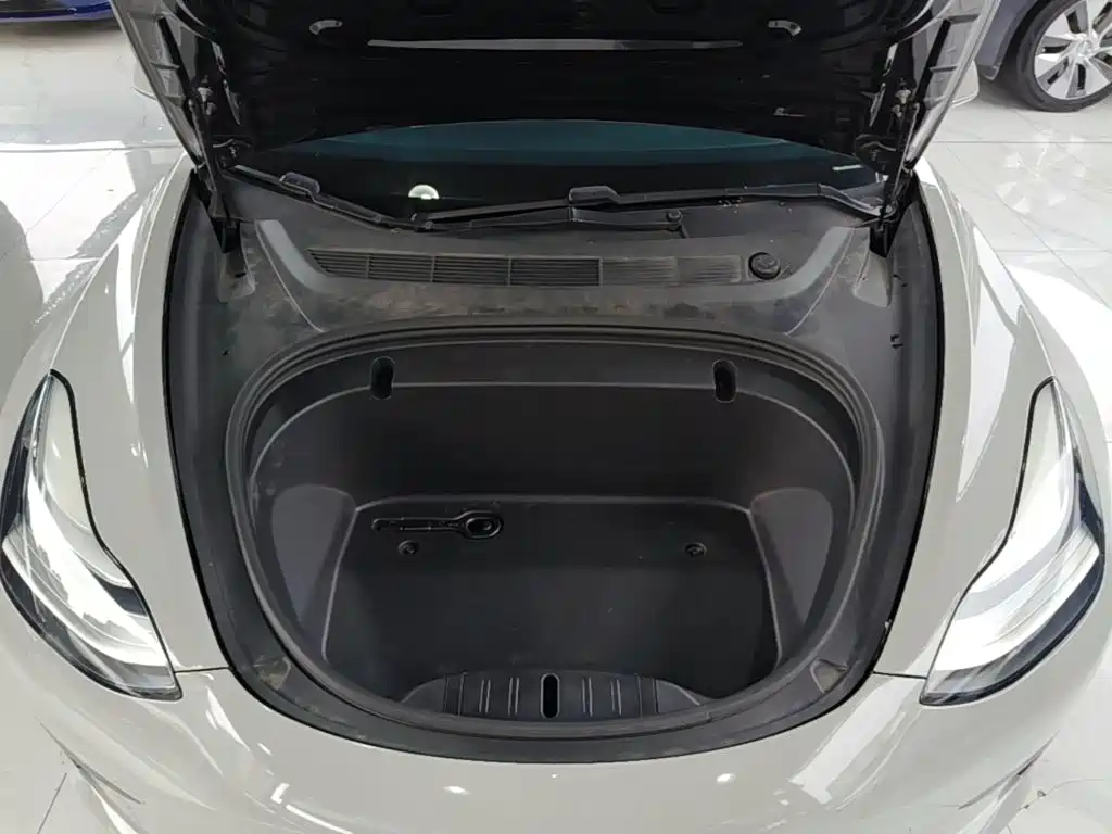 Tesla Model 3 2020 2020 Standard Range Rear-Wheel Drive Upgrade