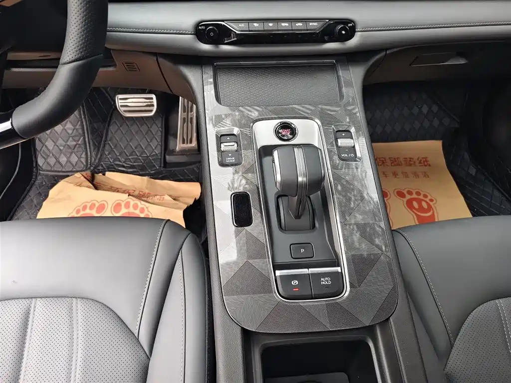 GAC Trumpchi Trumpchi Emkoo 2024 Model 270T DCT Shadow Leopard R-Style Edition фото 9