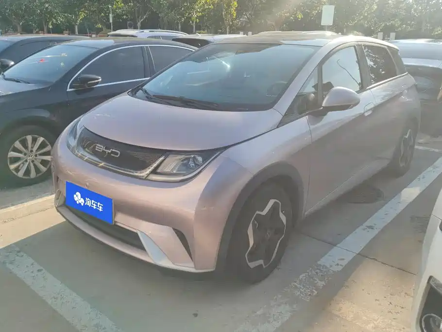 BYD Dolphin 2021