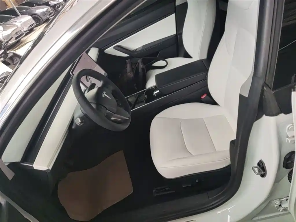 Tesla Model 3 2020 2020 Standard Range Rear-Wheel Drive Upgrade