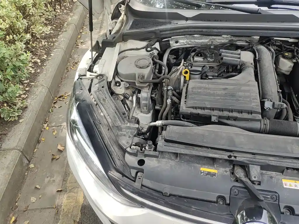 Volkswagen Lamando, миниатюра 19