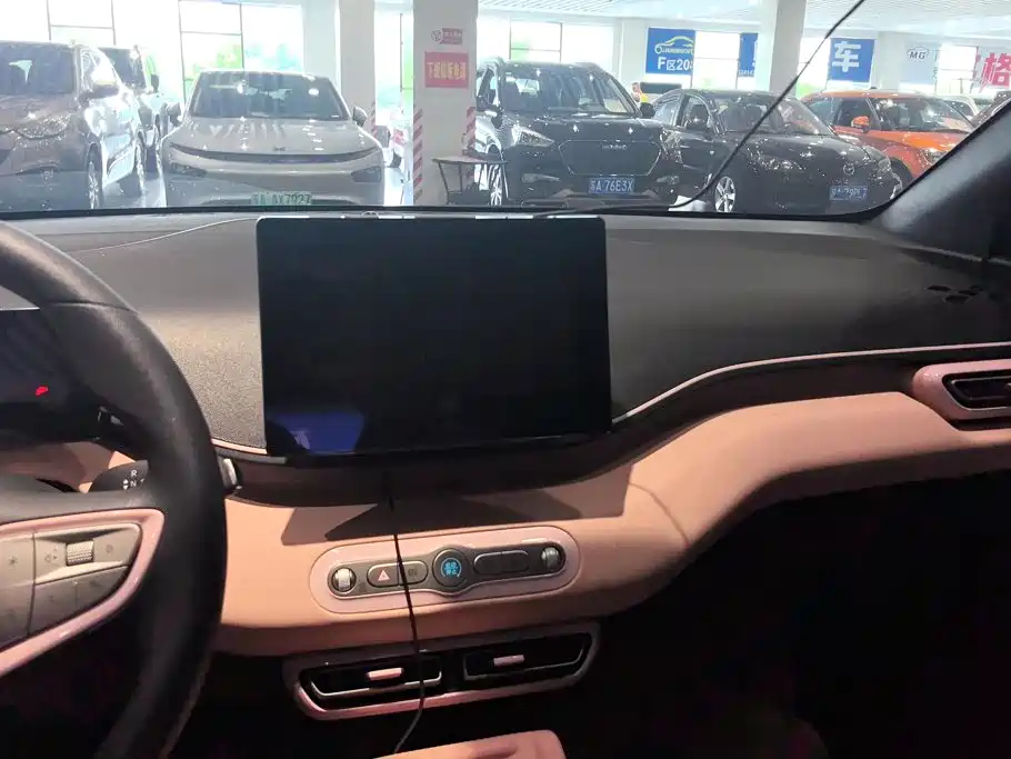 BYD Seagull 2026 2025 Smart Drive Edition 305km Vitality Version