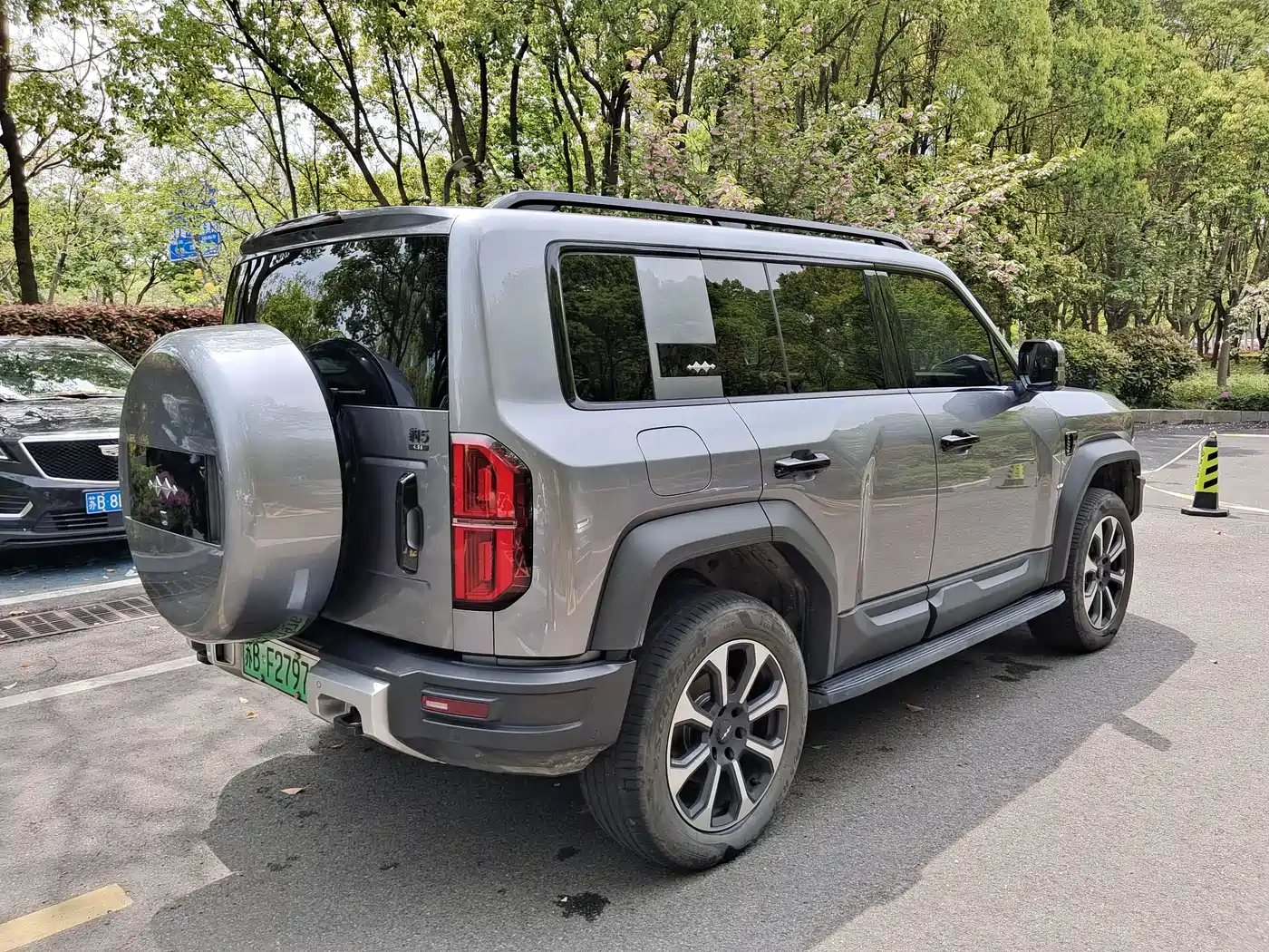 FANG CHENG BAO LEOPARD 5