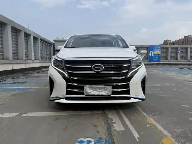 Trumpchi M8 Elegance Series, 390T, Максимум