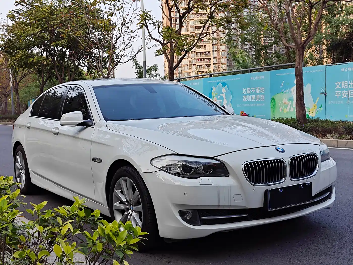 BMW 5 Series 2013 530Li Luxury фото 3