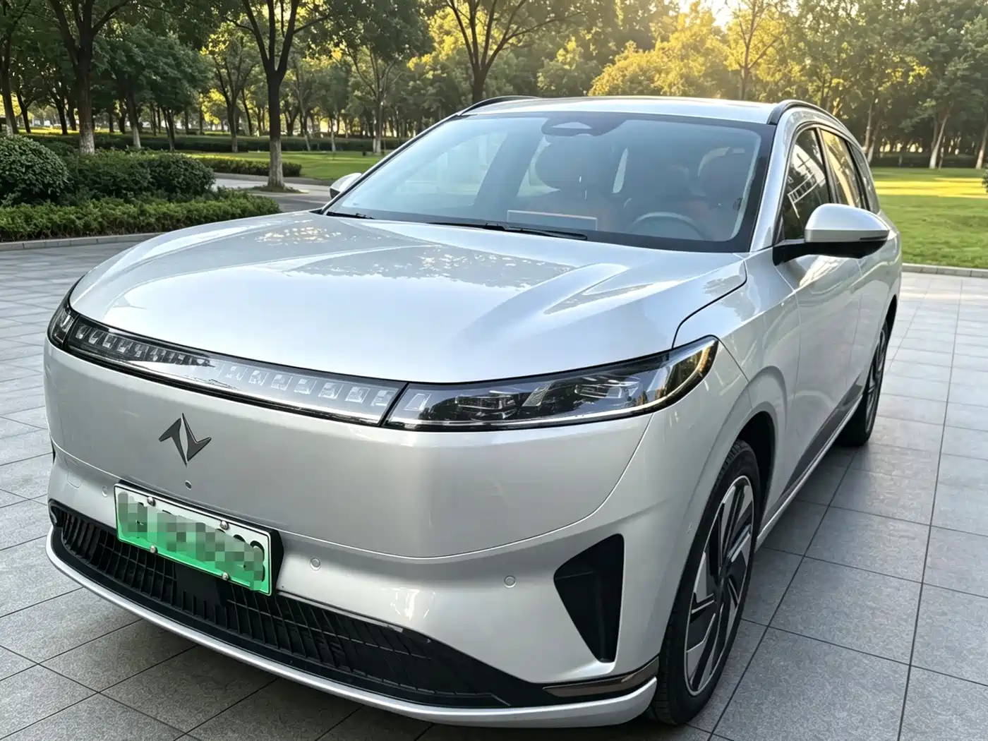 2025 Dongfeng Yipai eπ008