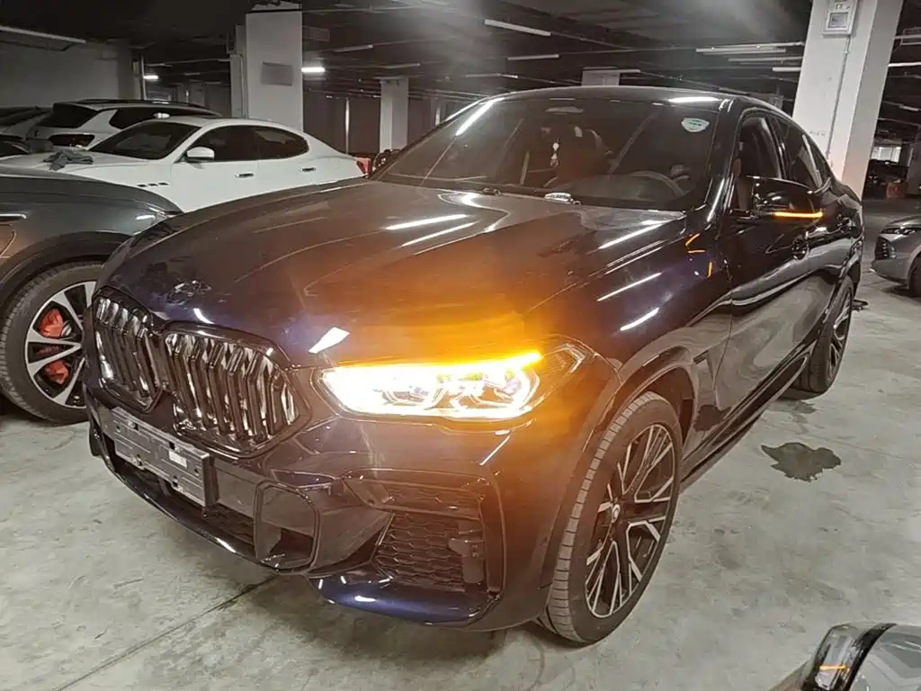 BMW X6 2022 2022 xDrive40i Premium M Sport Package