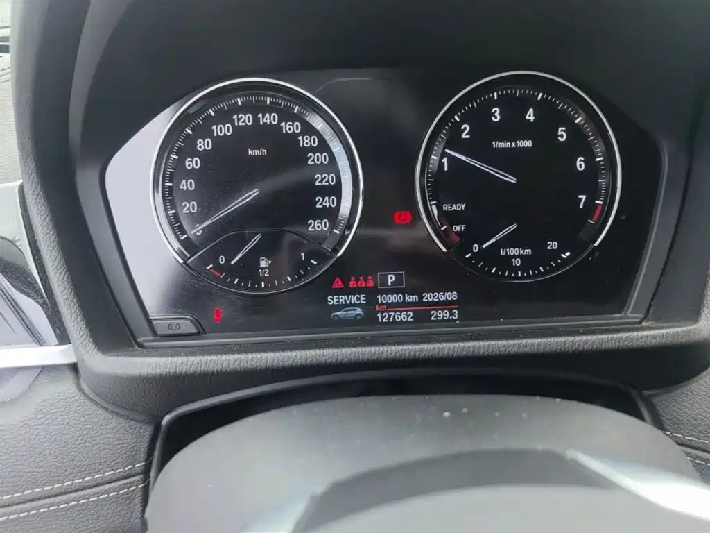 BMW X2 (Import) 2019 sDrive20i M Off-Road Package China VI фото 12