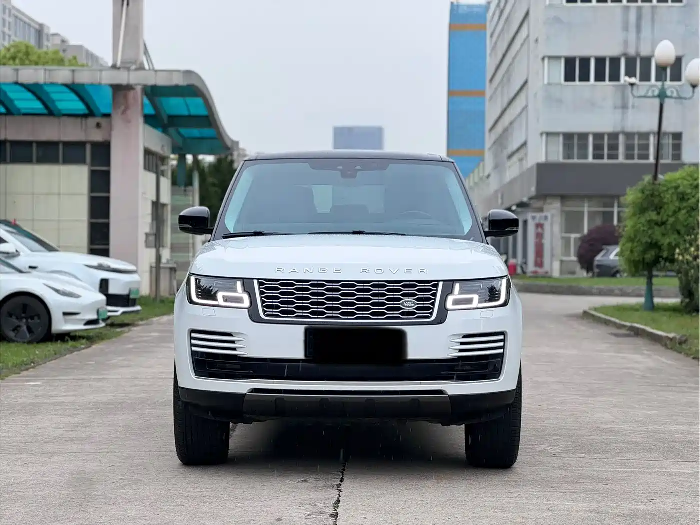 Land Rover Range Rover 2019 3.0 SCV6 Heritage Edition фото 2