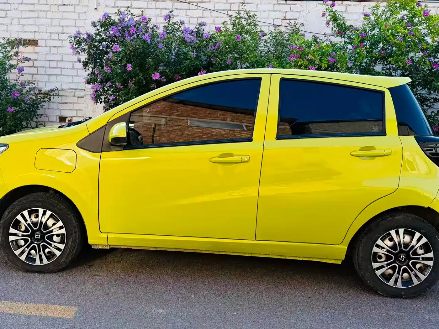 Sehol Flower Fairy 2021 2021 200km Classic Edition