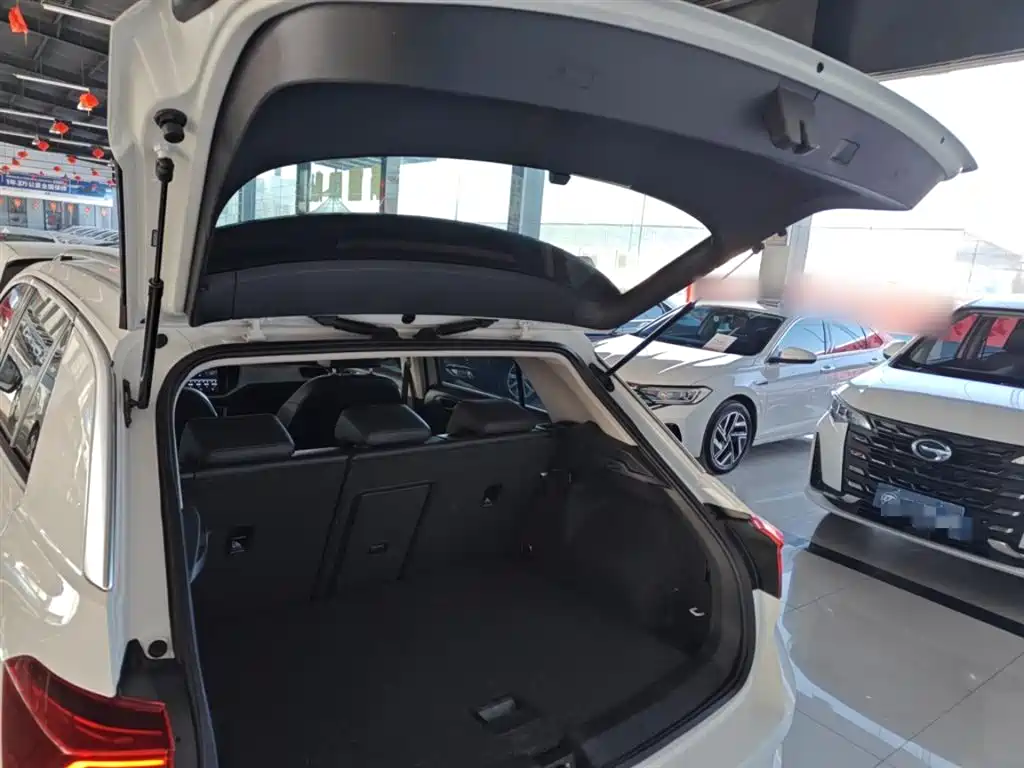 Volkswagen T-ROC 2018 230TSI DSG 2WD Progressive China V фото 16