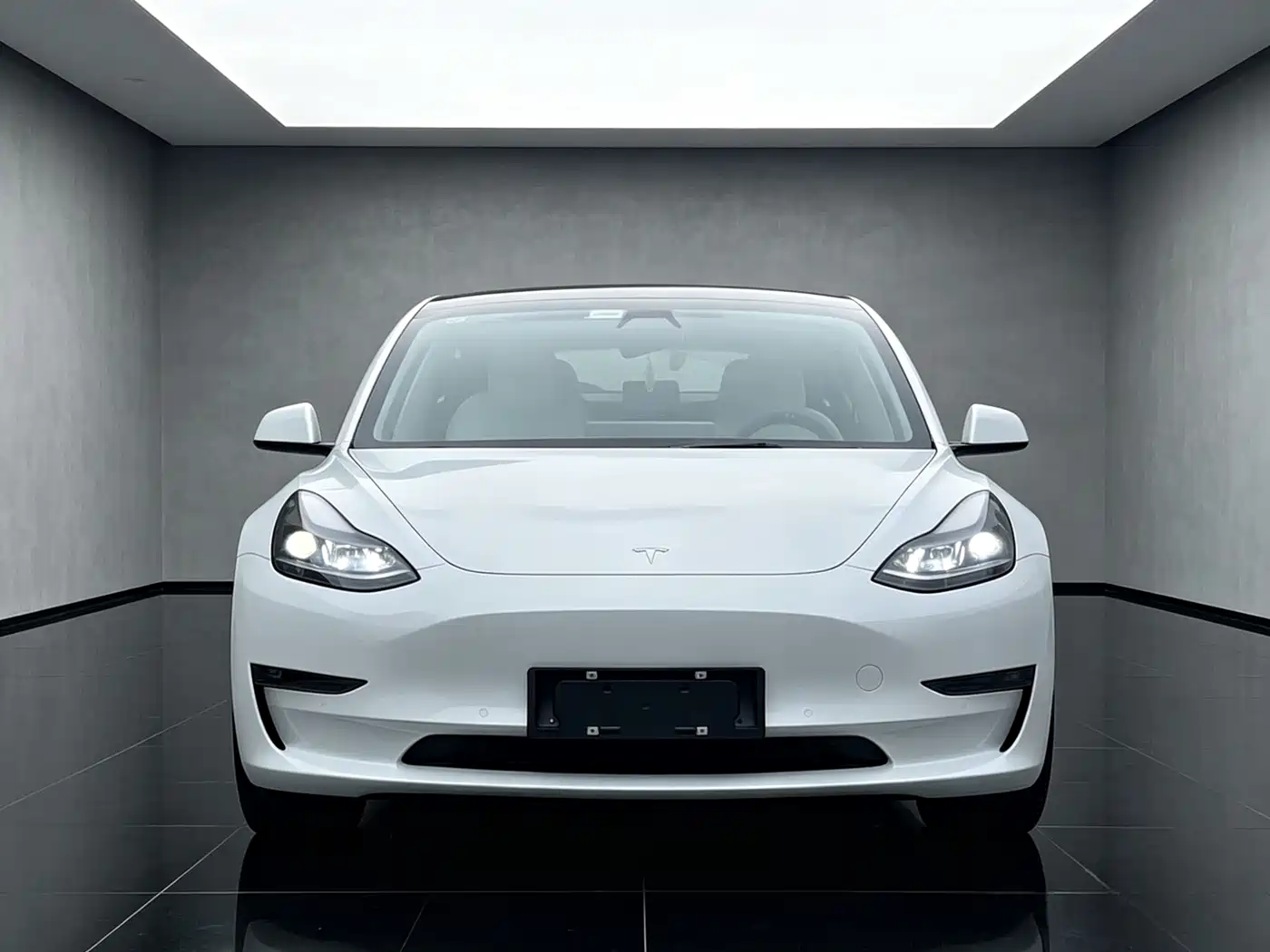 Tesla Model 3 2022 Performance High-Performance AWD фото 13