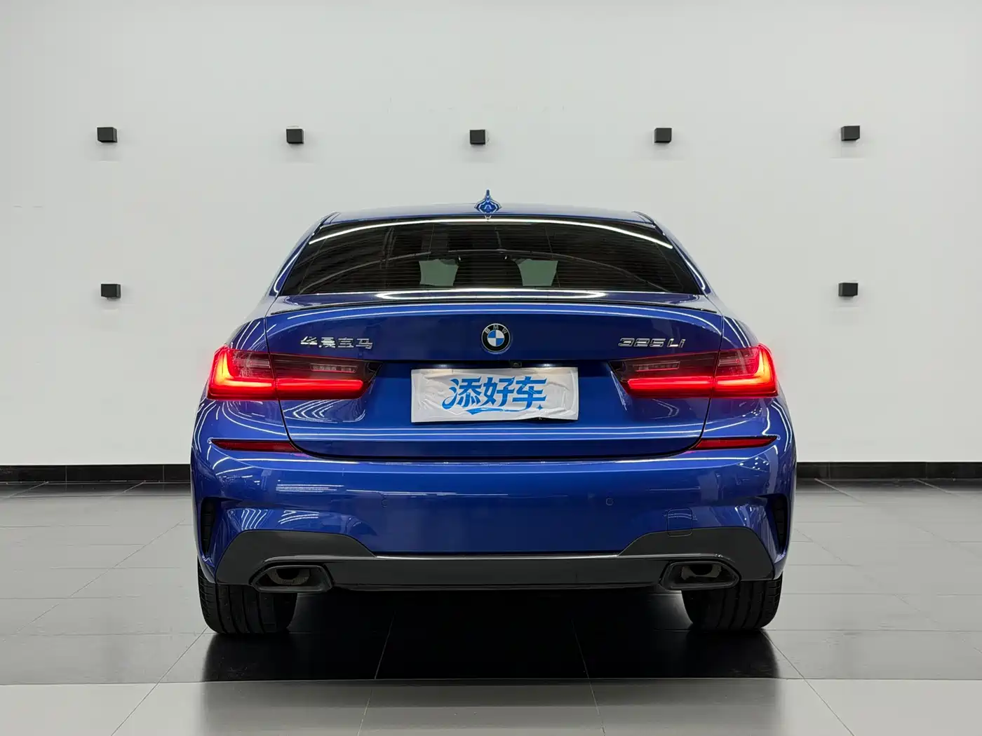 BMW 3 Series 2020 325Li M Sport Black Night Package фото 13