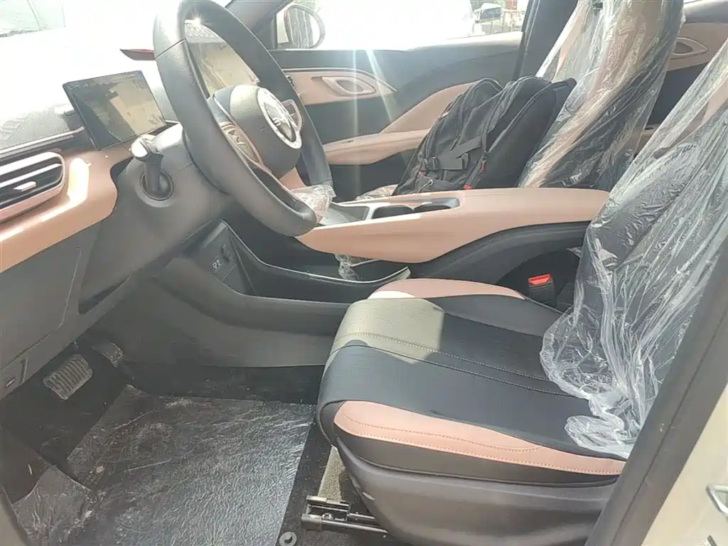 BYD Seagull 2025 Smart Drive Edition 305km Vitality Version фото 15