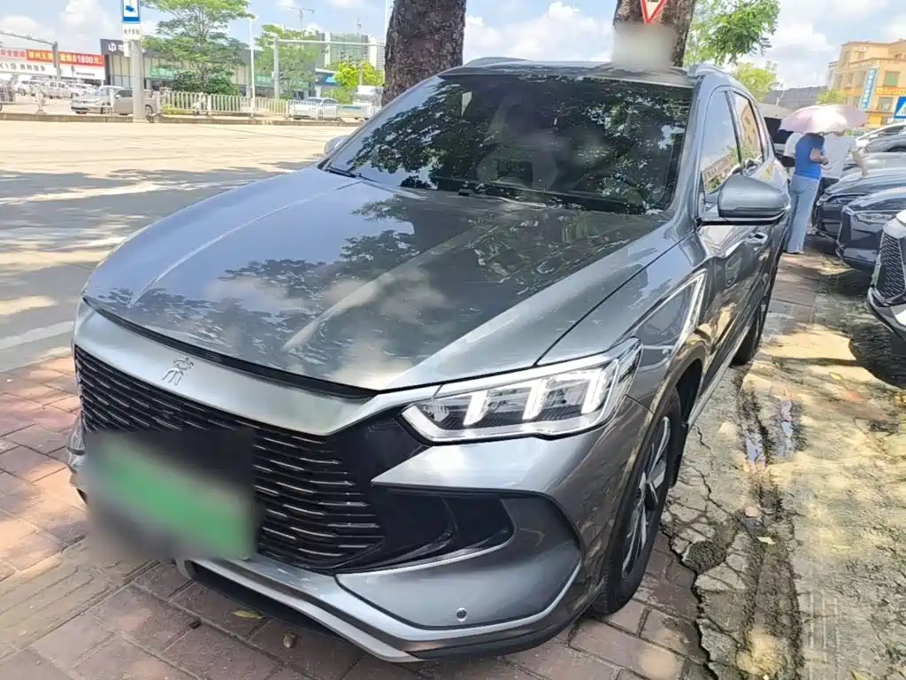 BYD Song Pro New Energy 2024 Glory Edition DM-i 71KM Pilot
