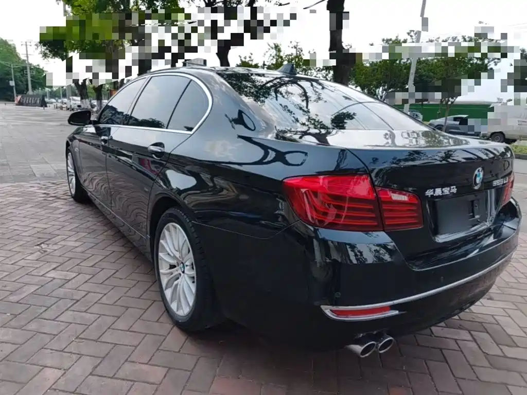 BMW 5 Series 2014 525Li Luxury Design Package фото 5