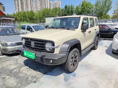 Tank 300