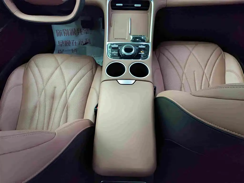 Geely Galaxy Galaxy L6 2025 EM-i 140km Starship Edition 15