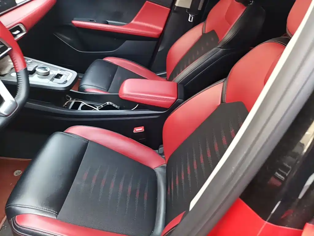 BYD e2 2020 Upgraded Long Range Luxury фото 15