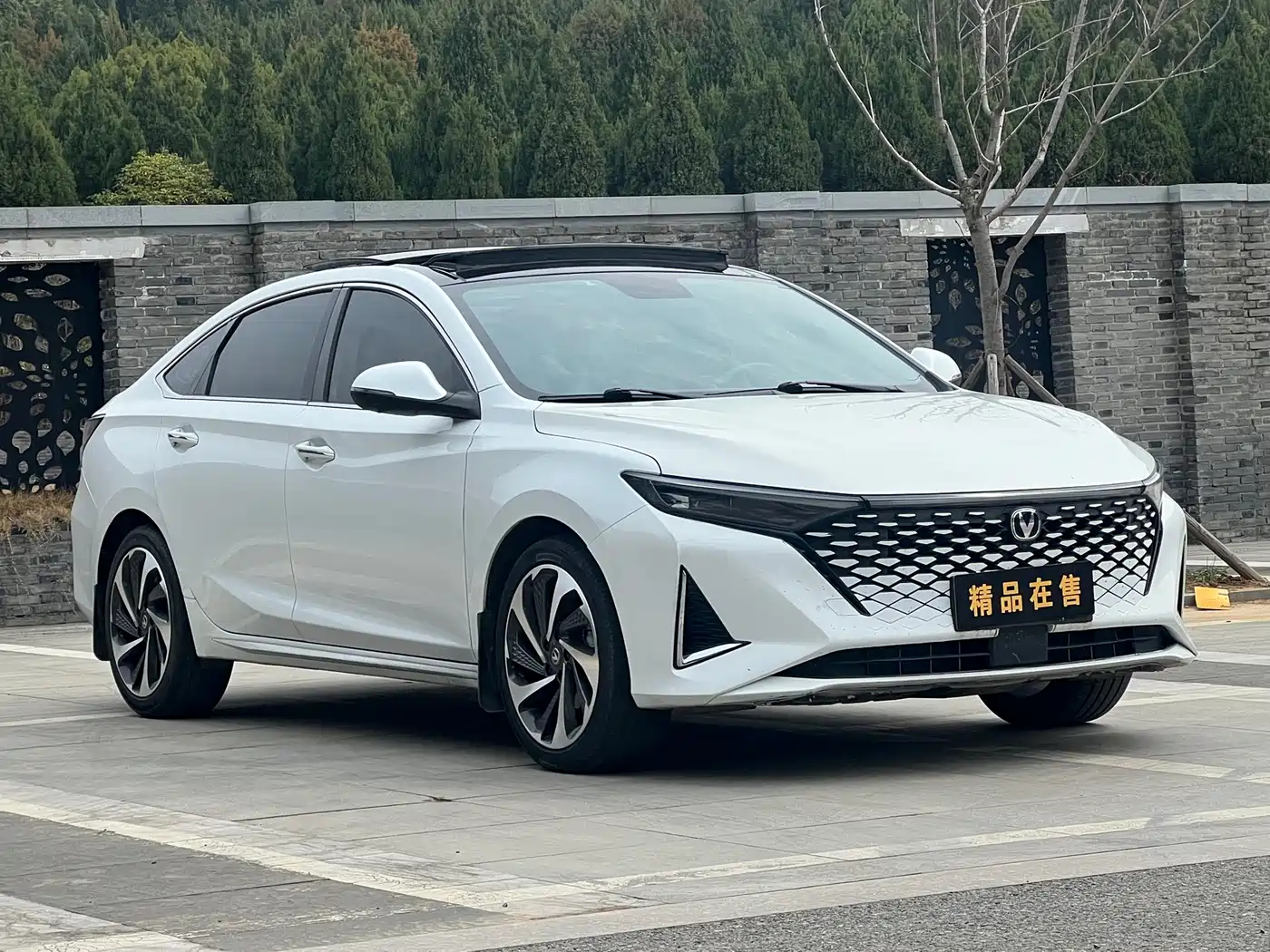 CHANGAN RUICHENG PLUS