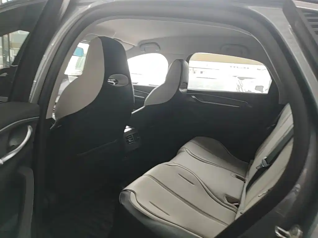 BYD Destroyer 05 2024 Glory Edition DM-i 55KM Luxury фото 17