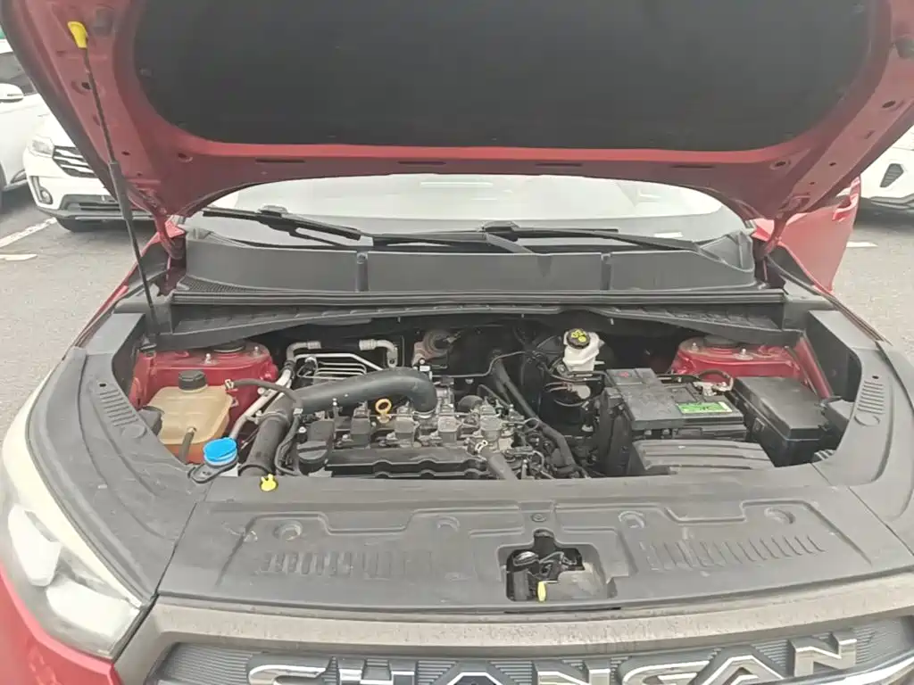 Changan CS55 2017 2017 1.5T Automatic Colorful Edition