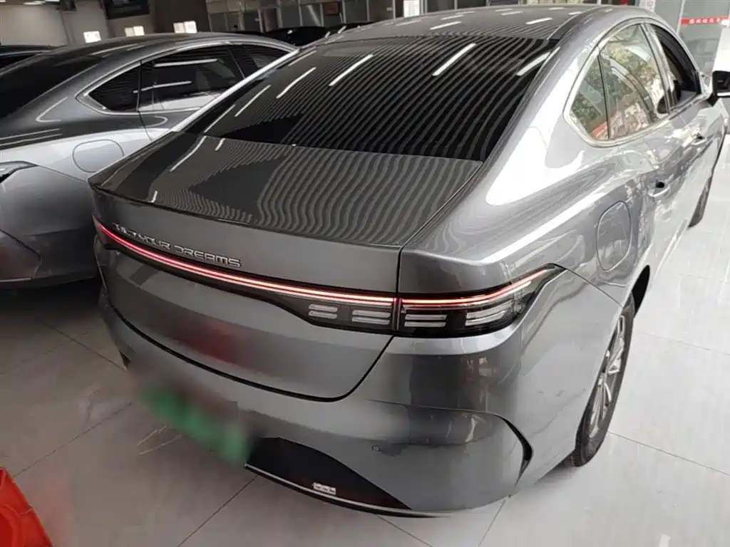 BYD Destroyer 05 2024 Glory Edition DM-i 55KM Luxury фото 6