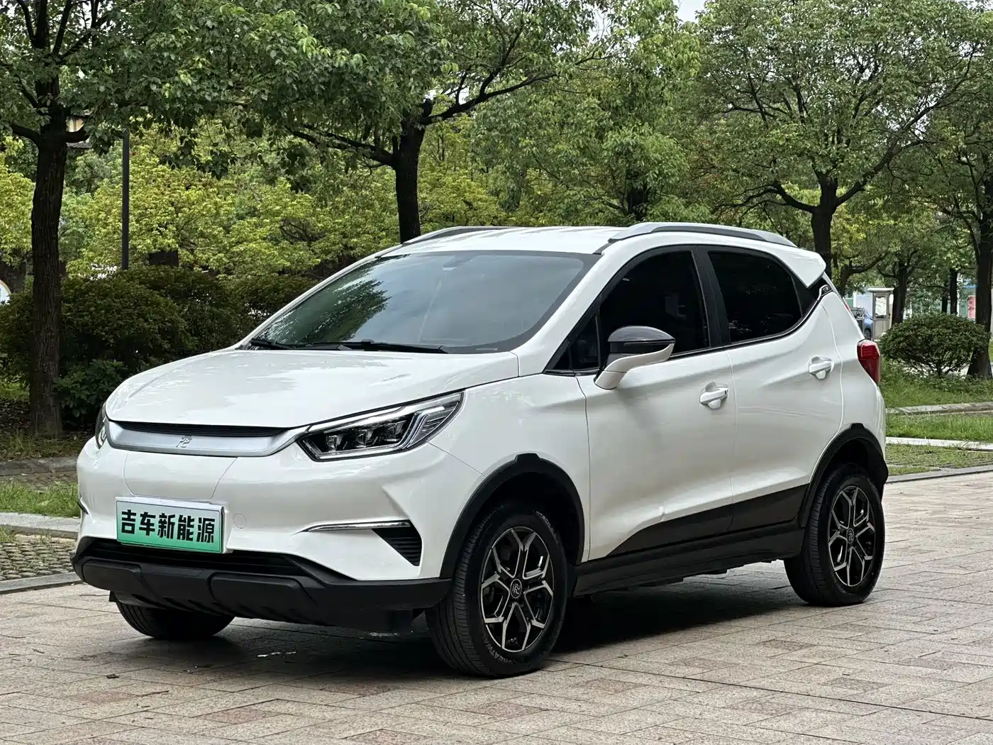 BYD Yuan Pro 2021 2021 401KM Luxury Model