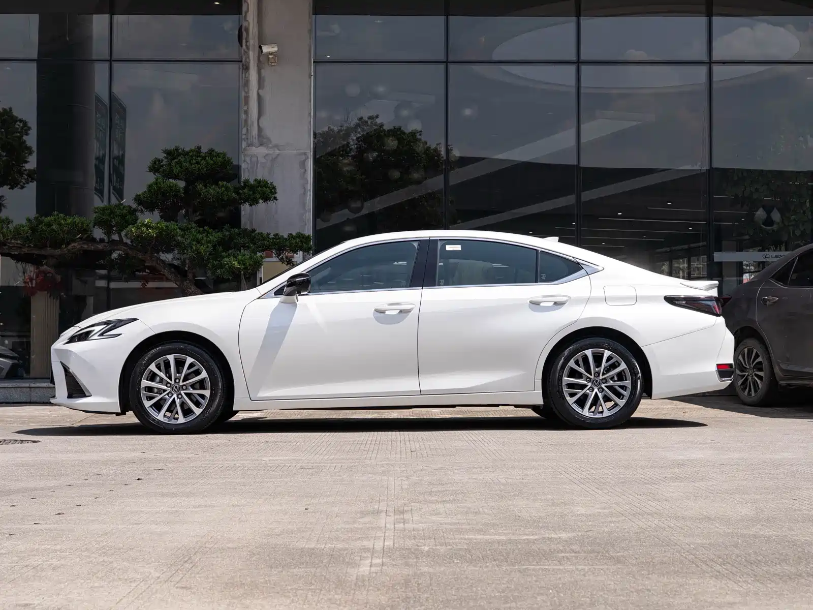 Фото 4 - Lexus ES
