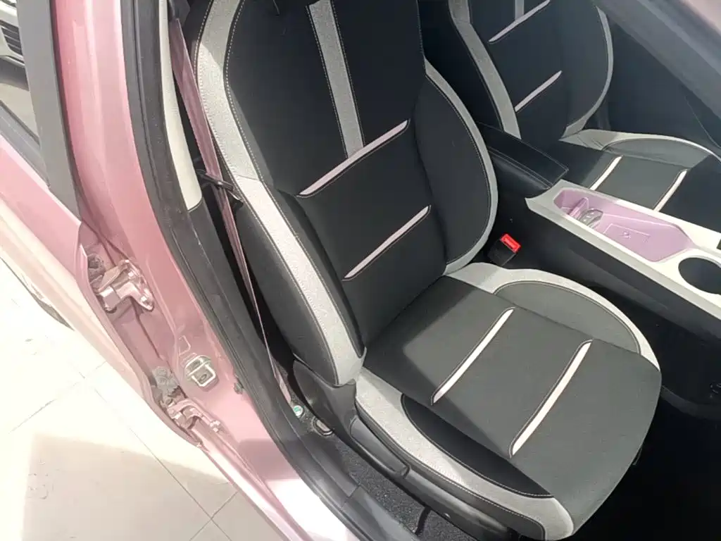 Sehol Flower Fairy 2023 2023 Anniversary Edition 301km Starlight 45kW