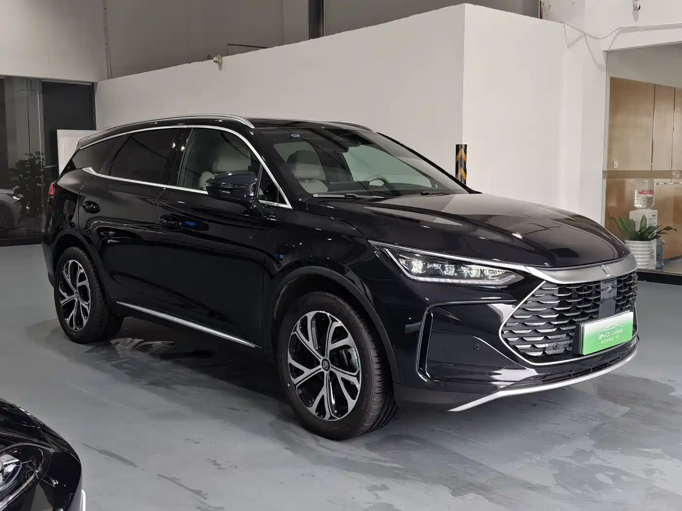 BYD Tang New Energy 2025 Smart Driving Edition DM-i 115KM Flagship фото 7