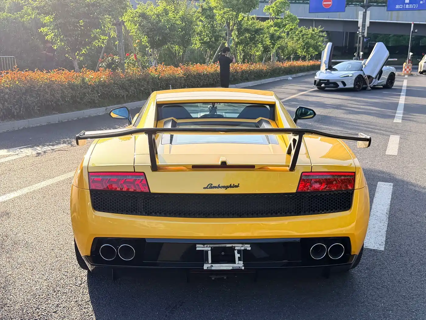 Lamborghini Gallardo 2012 LP 560-4 Gold Edition фото 6