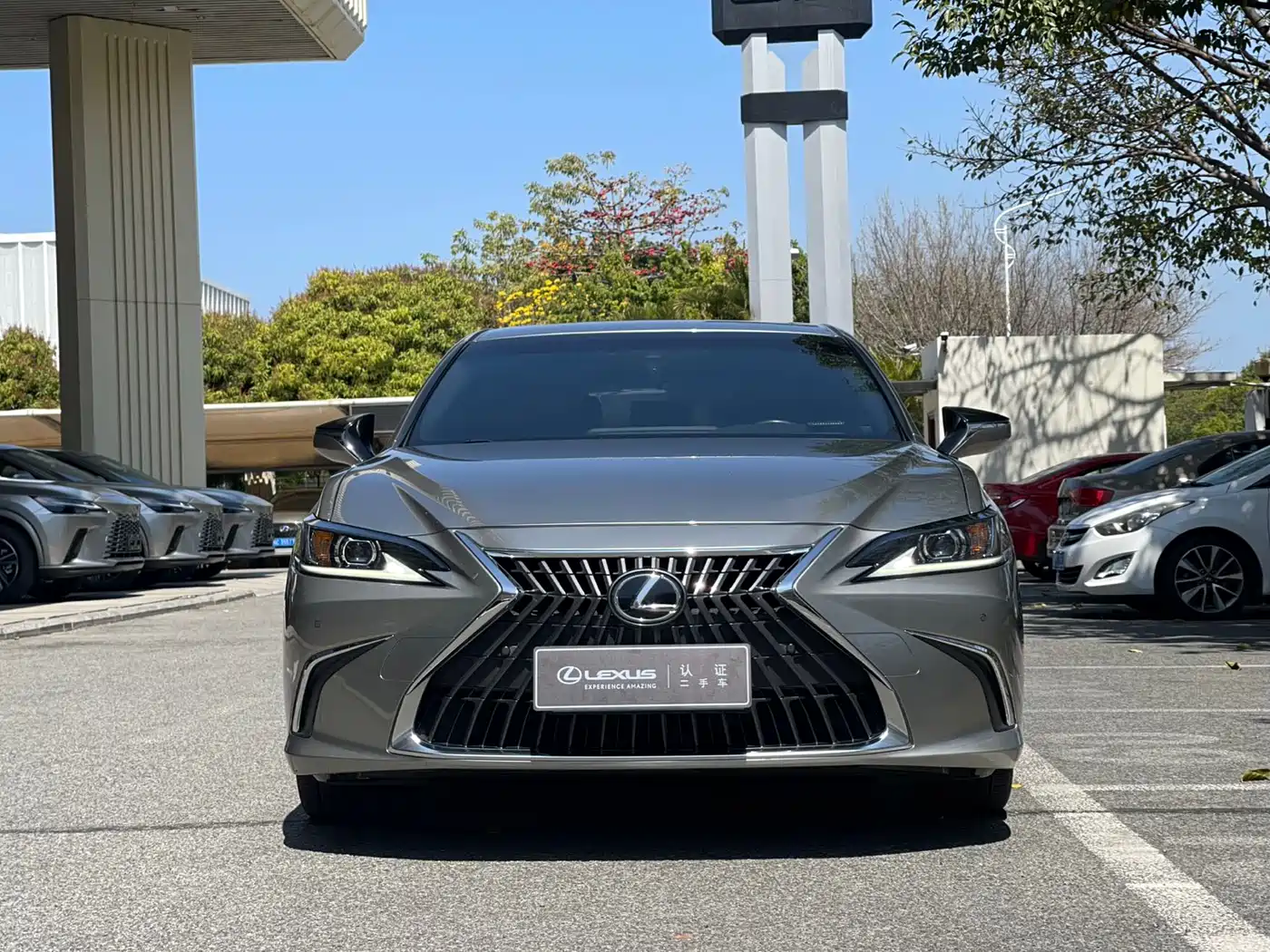 Lexus ES 2022 300h Excellence Edition фото 2