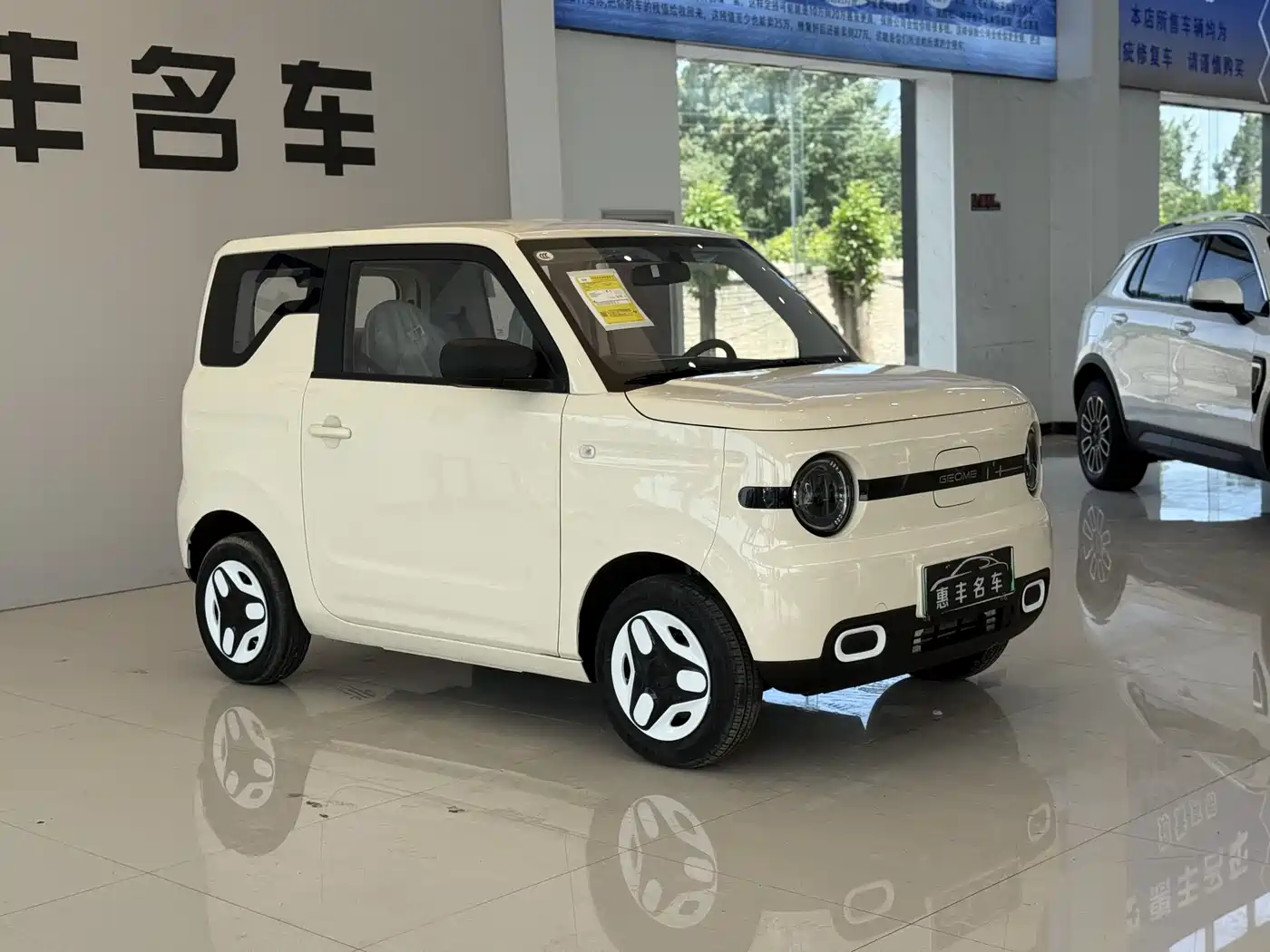 Geely Galaxy Panda 2025 Panda mini 210km Vitality Bear фото 3