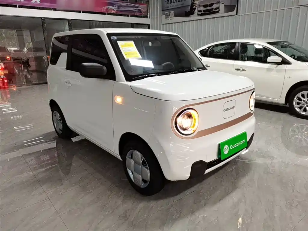 Geely Galaxy Panda 2025 Panda mini 210km Vitality Bear фото 4