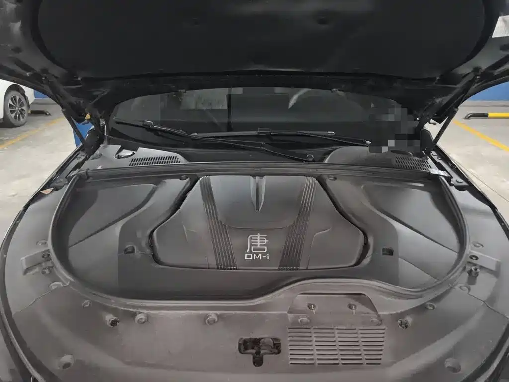 BYD Tang New Energy 2025 2025 Smart Driving Edition DM-i 115KM Premium