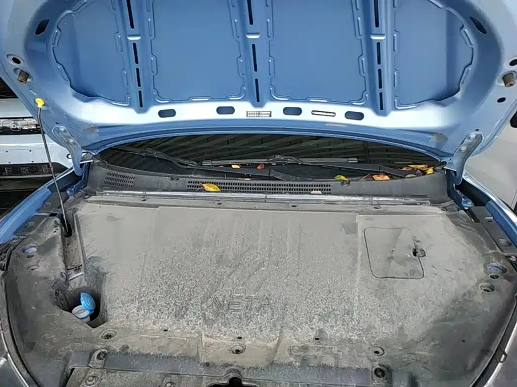 Nezha Auto Nezha V 2023 2022 Trend 300 Lite LFP