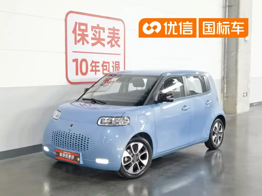 Ora White Cat 2021 2020 401km Flagship Model