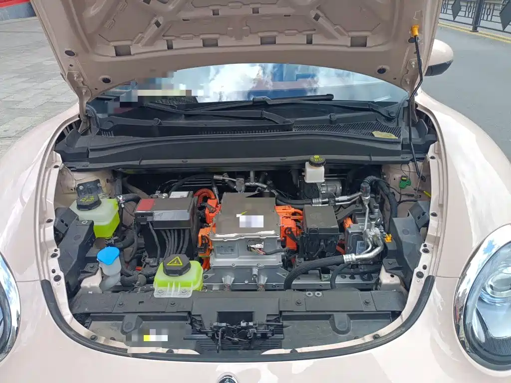 Ora Good Cat 2025 2025 Model 430km Luxury